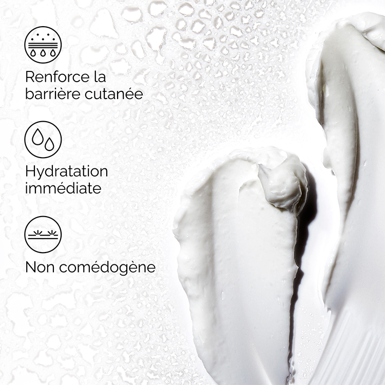 Natural Moisturizing Factors + HA