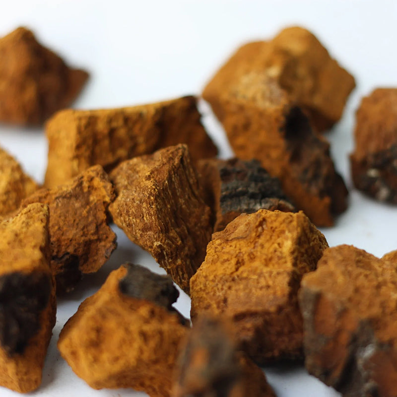 Power - Endurance + Recovery - Shroomy Adaptogenic Blend