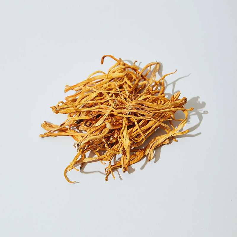 Power - Endurance + Récupération - Shroomy Adaptogenic Blend