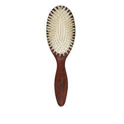 Brosse Démêlante